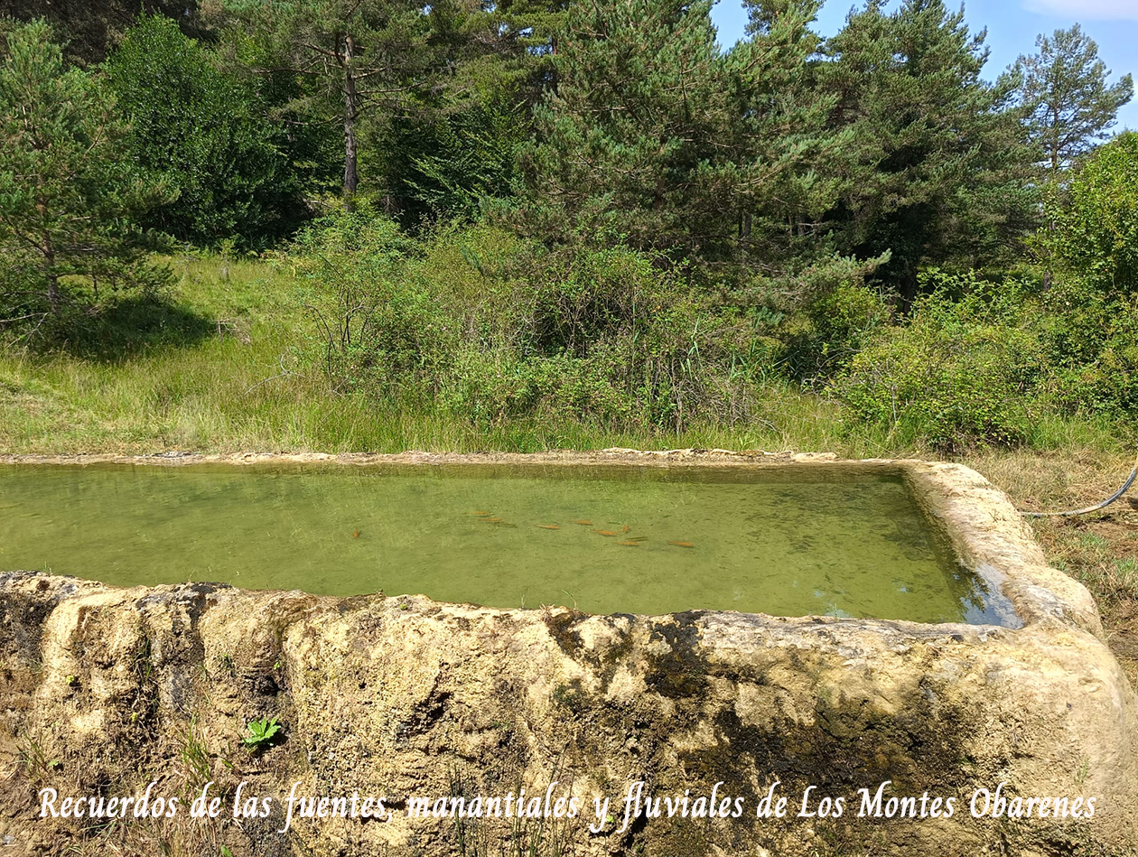 El agua no se vende el agua se defiende postal 3.jpg