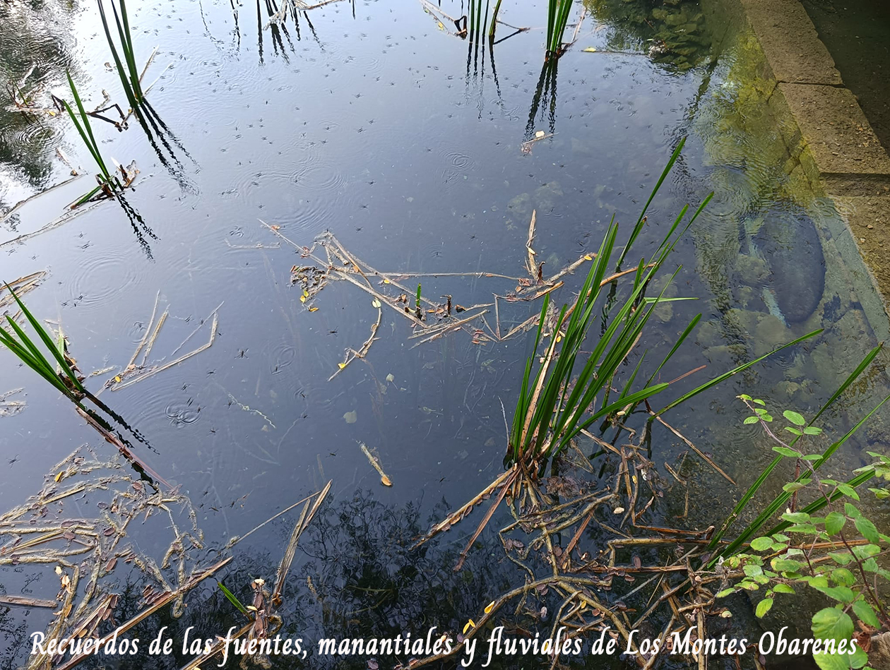 El agua no se vende el agua se defiende postal 1.jpg